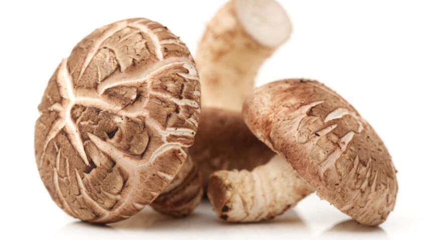 Predstonorm contém cogumelos shiitake